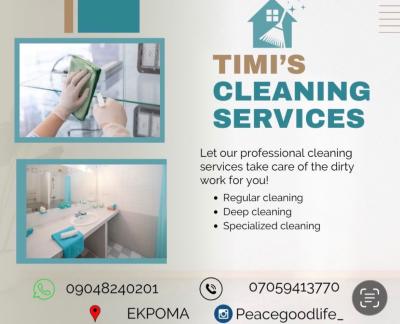 Professional cleaning services 